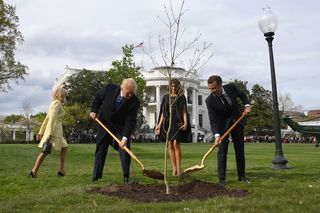 Illustration for article titled All Right -- What Happened to the Tree?
